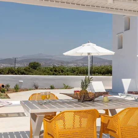 Naxian Lounge Βίλα *